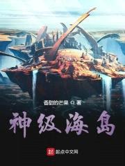 神级海岛封面