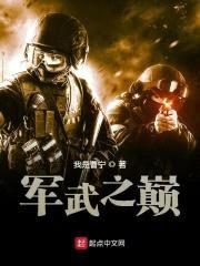 军武之巅封面