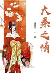 大秦之情封面