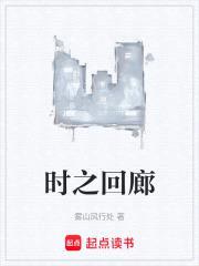 时之回廊封面