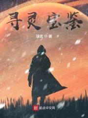 寻灵宝鉴封面
