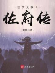 往岁无歌封面