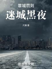 迷城黑夜封面
