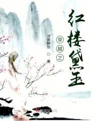 穿越之红楼黛玉封面