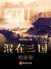 混在三国的咸鱼封面