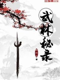 武林秘录封面