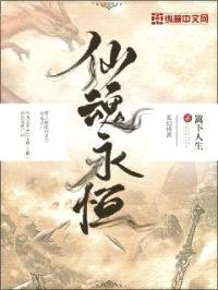 仙魂永恒封面