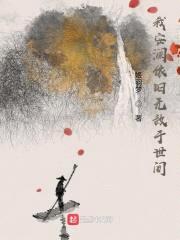 我安澜依旧无敌于世间封面