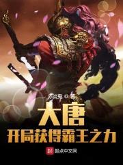 大唐：开局获得霸王之力封面