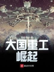 大国重工：崛起封面