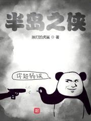 半岛之侠封面