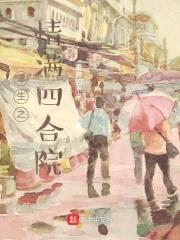 重生之情满四合院封面