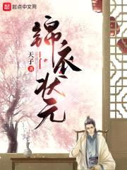 锦衣状元封面