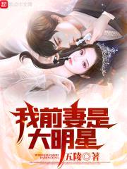 我前妻是大明星封面