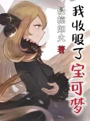 我收服了宝可梦封面