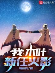 我，木叶新任火影封面