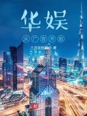 华娱从广告开始封面