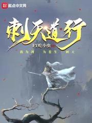 刺天道行封面