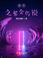 盘龙之紫金传说封面