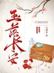 玉落长安封面