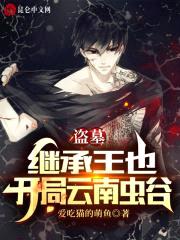 盗墓：继承王也，开局云南虫谷封面