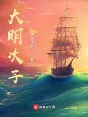 大明次子封面