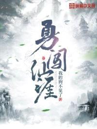 勇闯仙涯封面