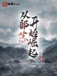 从部落开始崛起封面