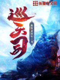 巡天司封面