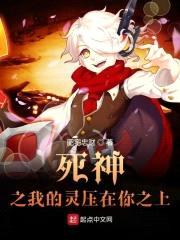 死神之我的灵压在你之上封面