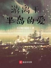 游离于半岛的爱封面