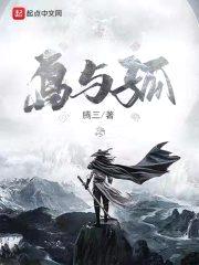 岛与孤封面