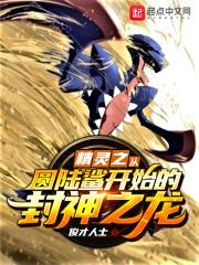精灵之从圆陆鲨开始的封神之龙！封面