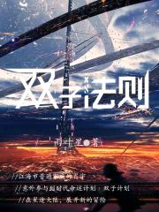 双子法则封面