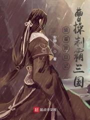 偷看我日记，曹cao制霸三国封面