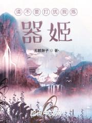 请不要打扰我炼器姬封面