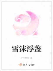 雪沫浮盏封面
