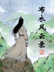 布衣风云录封面
