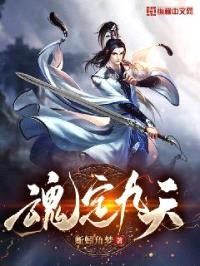 魂定九天封面