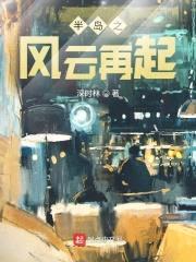 半岛之风云再起封面