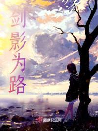 剑影为路封面