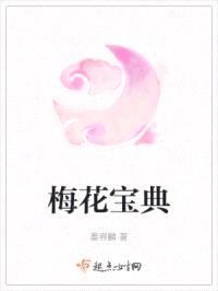 梅花宝典封面