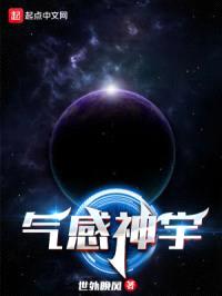 气感神宇封面