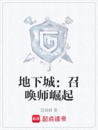 地下城：召唤师崛起封面