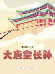 大唐皇长孙封面
