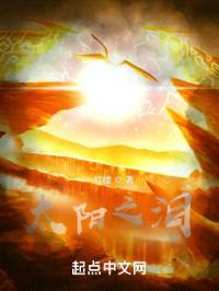 太阳之泪封面