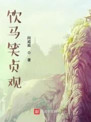 饮马笑贞观封面