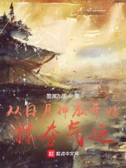 从日月神教开始掠夺气运封面