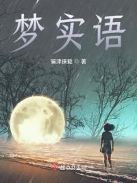 梦实语封面