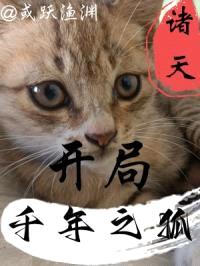 诸天：开局千年之狐封面